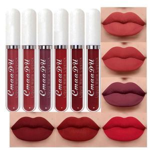 CmaaDu 6Pcs Matte Liquid Lipstick Lipgloss Lip Gloss Stain Makeup Set for Women,